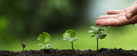 Expanding your business: what are your funding options?
